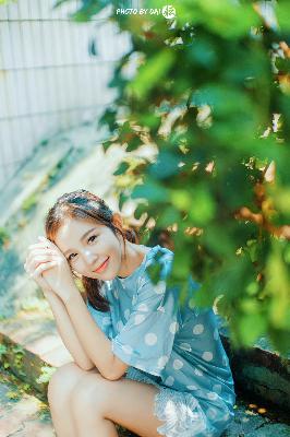 成全视频观看免费高清动漫第5季