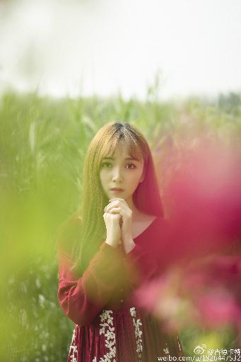 老女人免费观看高清电视剧