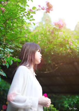 青青子衿在线观看免费完整版