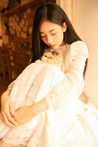成全视频高清免费播放电视剧好剧