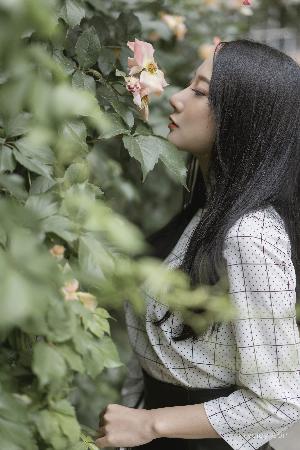 青柠在线观看高清电视剧荣耀
