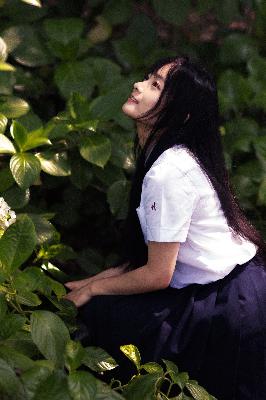 青青子衿免费观看完整版高清