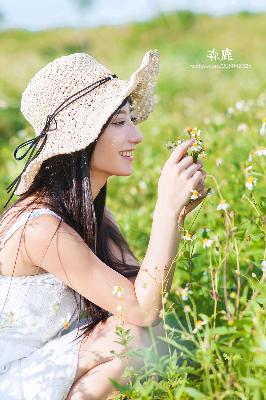 大地影视资源官网第二页