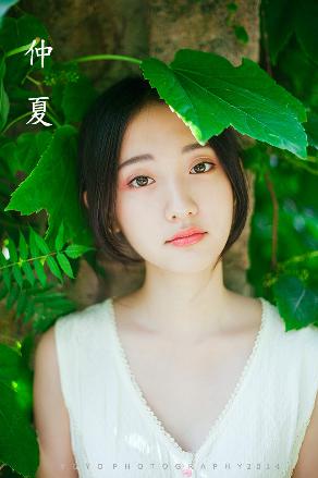 中文字幕免费高清电视剧网大全