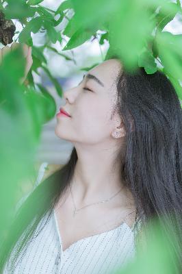 成人视频在线观看