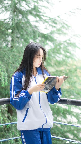 成全视频大全高清全集