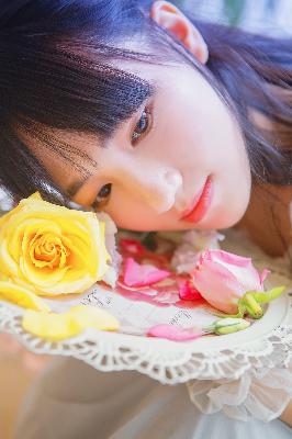 樱花动漫在线观看全集免费高清版
