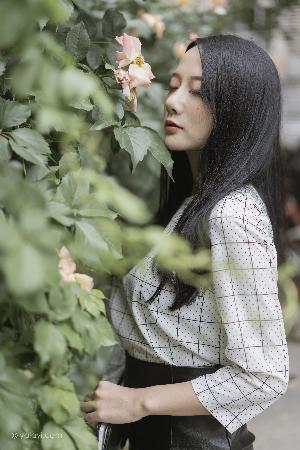 青青河边草免费观看高清视频