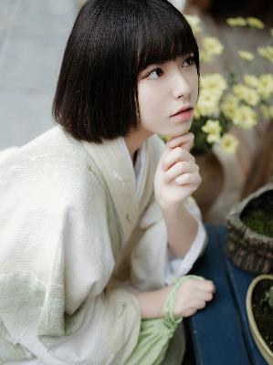 樱花PPT网站大片