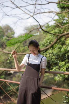 三年片在线观看大全国语
