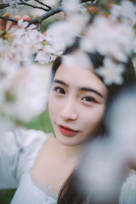 杏花影院观看免费高清电视剧