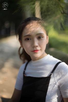 美国大片又大又好看的电视剧