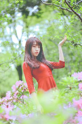 少妇做爰特黄A片免费看