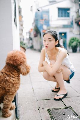 成全视频高清免费观看电视剧