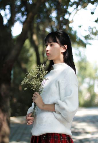 樱花动漫高清在线观看完整版