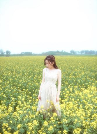 波多野结衣一区二区
