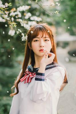 樱花视频在线观看免费高清电视剧