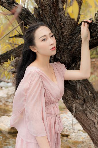 国产又黄又爽的免费视频