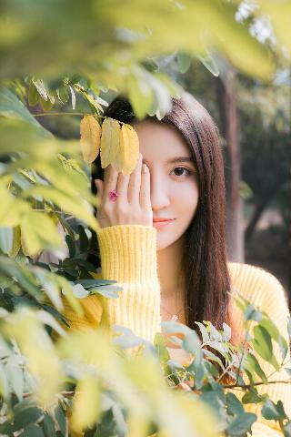 樱花动漫高清在线观看完整版