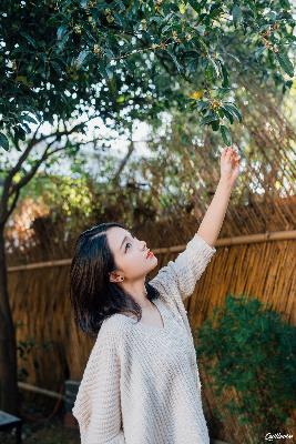 樱桃在线观看免费高清电视剧荣耀红