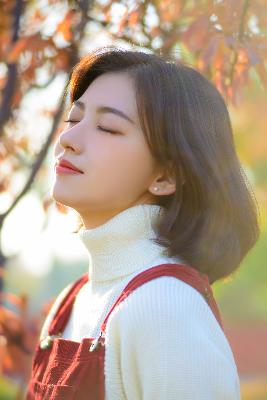 最美的青春电视剧全集免费观看