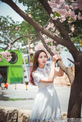 成全免费高清在线观看电视剧