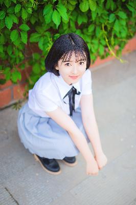 成全视频大全高清全集免费观看