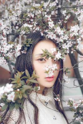 杏花影院观看免费高清电视剧