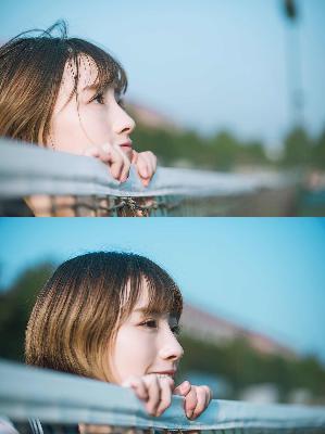 樱花动漫在线观看全集免费高清版