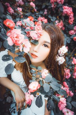 今天的高清视频在线观看高清